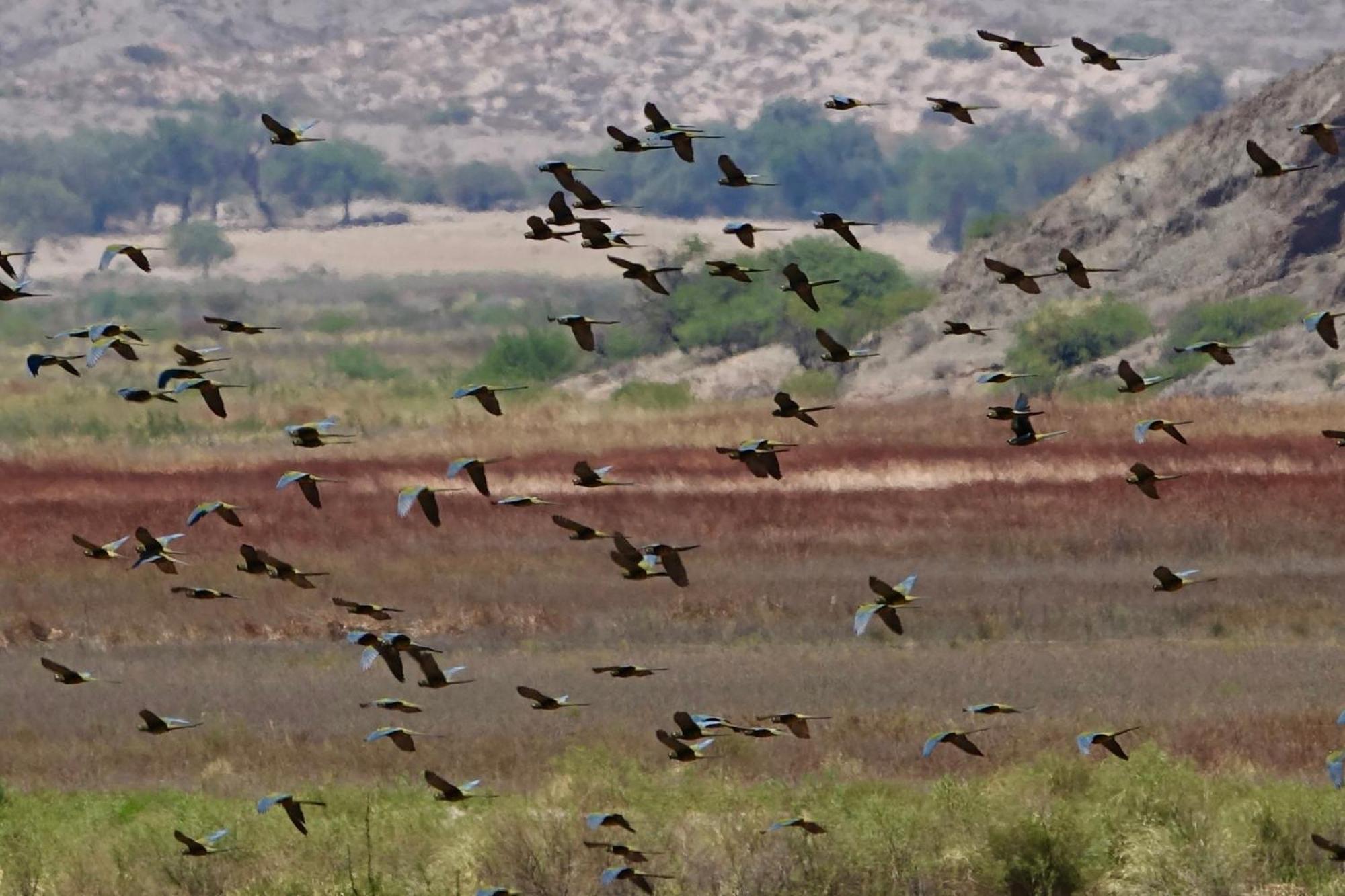 Estancia Banda Grande - Horse & Hiking Safaris โมลิโนส ภายนอก รูปภาพ